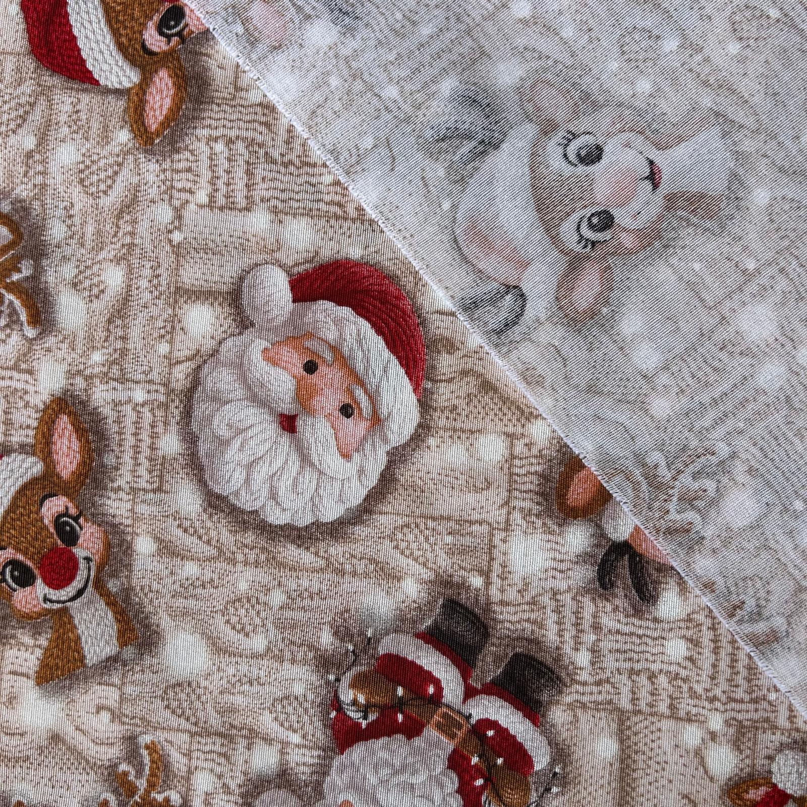 Loneta de decoração- Natal- Pai Natal Desenho Animado