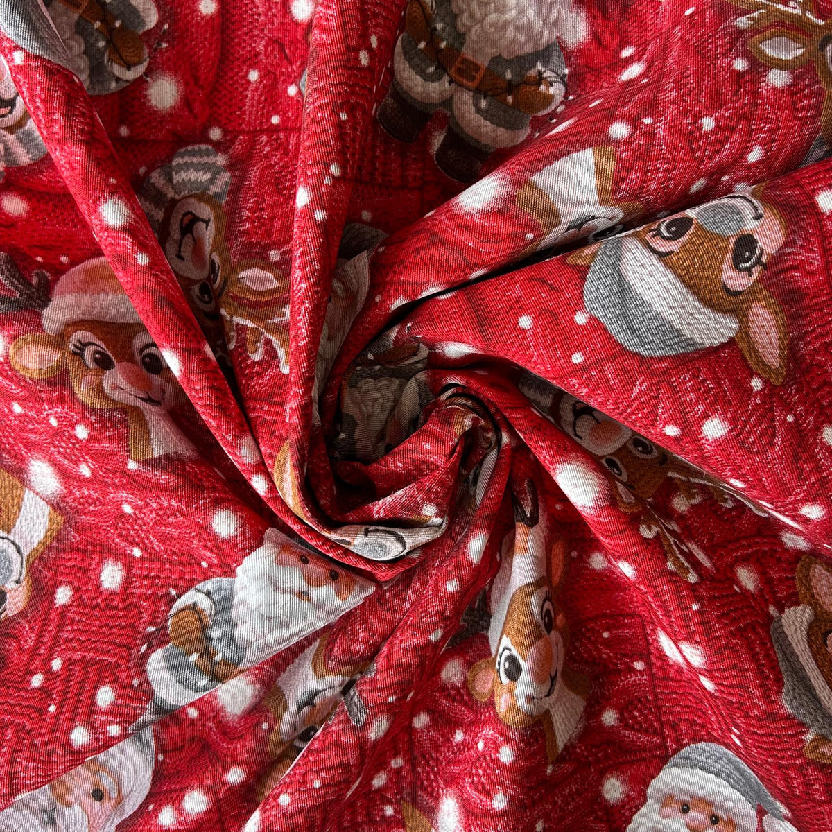 Loneta de decoração- Natal